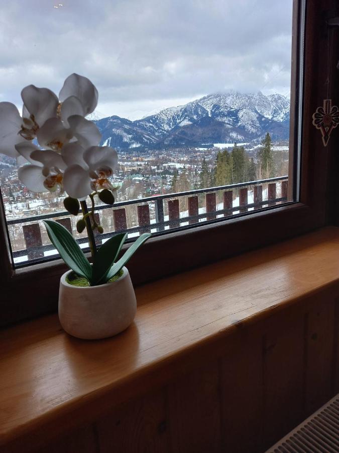 Ferienwohnung Niebianska Gran Zakopane Exterior foto